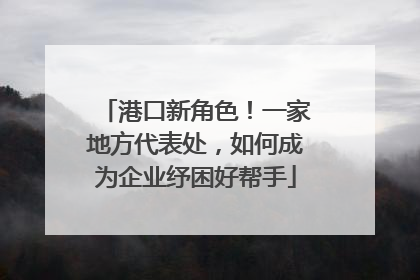 港口新角色！一家地方代表处，如何成为企业纾困好帮手